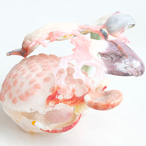  silvina lewin